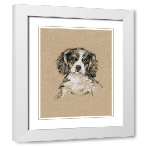Breed Sketches III White Modern Wood Framed Art Print with Double Matting by Harper, Ethan