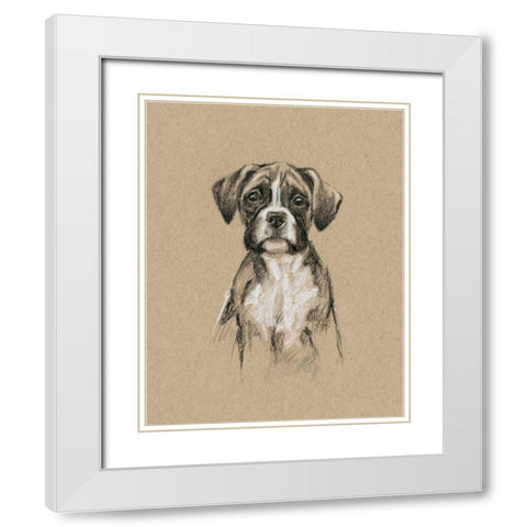 Breed Sketches V White Modern Wood Framed Art Print with Double Matting by Harper, Ethan