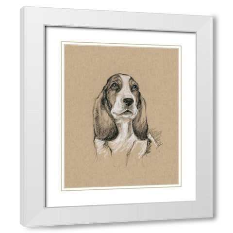 Breed Sketches VI White Modern Wood Framed Art Print with Double Matting by Harper, Ethan