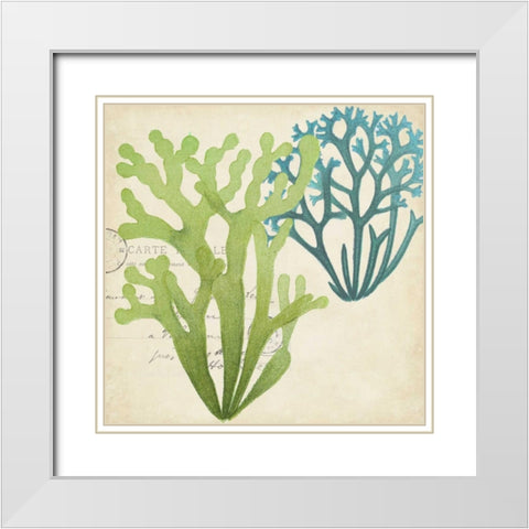Seaweed Overlay II White Modern Wood Framed Art Print with Double Matting by Studio W
