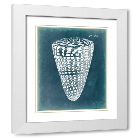 Azure Shell I White Modern Wood Framed Art Print with Double Matting by Vision Studio
