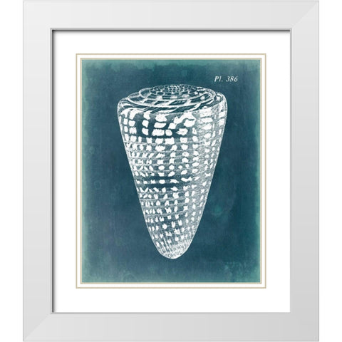 Azure Shell I White Modern Wood Framed Art Print with Double Matting by Vision Studio