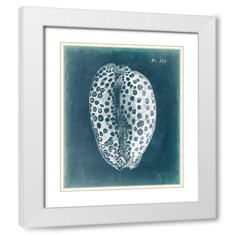 Azure Shell II White Modern Wood Framed Art Print with Double Matting by Vision Studio