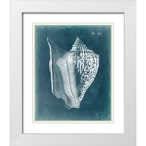Azure Shell III White Modern Wood Framed Art Print with Double Matting by Vision Studio