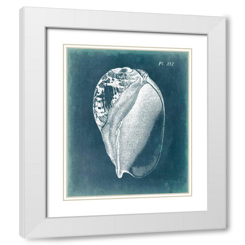 Azure Shell IV White Modern Wood Framed Art Print with Double Matting by Vision Studio