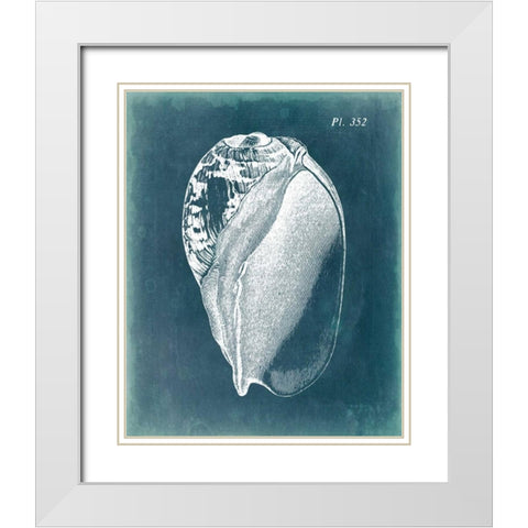 Azure Shell IV White Modern Wood Framed Art Print with Double Matting by Vision Studio