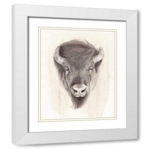 American Wilderness II White Modern Wood Framed Art Print with Double Matting by Popp, Grace