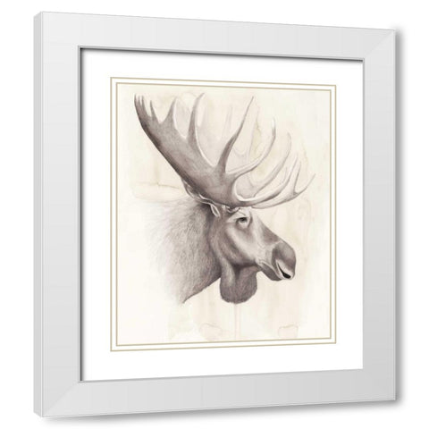 American Wilderness IV White Modern Wood Framed Art Print with Double Matting by Popp, Grace