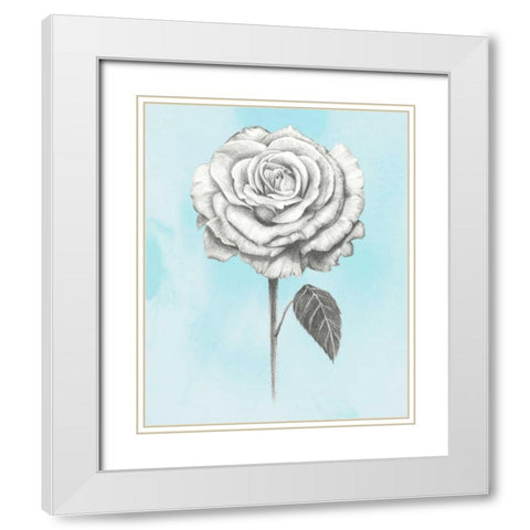 Graphite Rose III White Modern Wood Framed Art Print with Double Matting by Popp, Grace