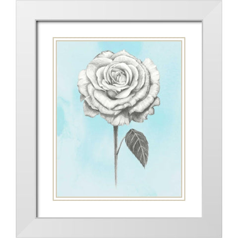 Graphite Rose III White Modern Wood Framed Art Print with Double Matting by Popp, Grace