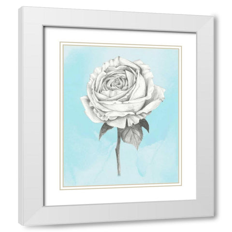 Graphite Rose IV White Modern Wood Framed Art Print with Double Matting by Popp, Grace