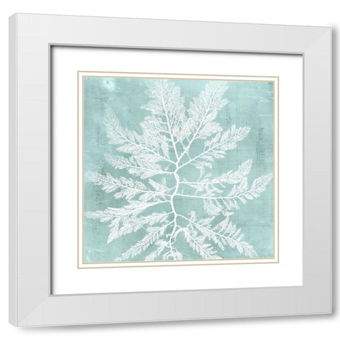 Seaweed on Aqua I White Modern Wood Framed Art Print with Double Matting by Vision Studio