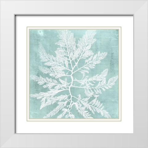 Seaweed on Aqua I White Modern Wood Framed Art Print with Double Matting by Vision Studio