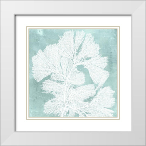 Seaweed on Aqua IV White Modern Wood Framed Art Print with Double Matting by Vision Studio