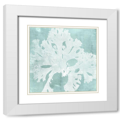 Seaweed on Aqua V White Modern Wood Framed Art Print with Double Matting by Vision Studio