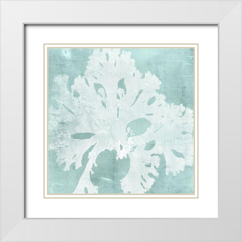 Seaweed on Aqua V White Modern Wood Framed Art Print with Double Matting by Vision Studio
