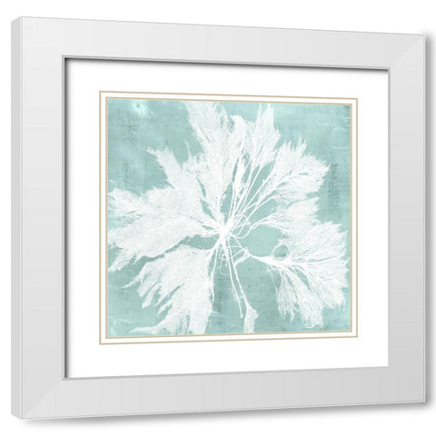 Seaweed on Aqua VI White Modern Wood Framed Art Print with Double Matting by Vision Studio