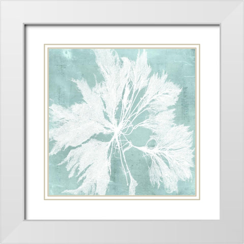 Seaweed on Aqua VI White Modern Wood Framed Art Print with Double Matting by Vision Studio