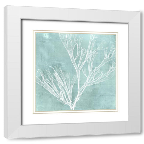 Seaweed on Aqua VII White Modern Wood Framed Art Print with Double Matting by Vision Studio