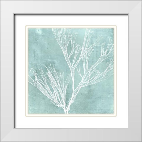 Seaweed on Aqua VII White Modern Wood Framed Art Print with Double Matting by Vision Studio
