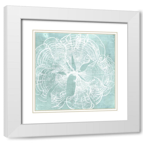 Seaweed on Aqua VIII White Modern Wood Framed Art Print with Double Matting by Vision Studio