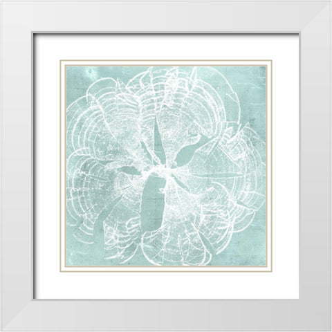 Seaweed on Aqua VIII White Modern Wood Framed Art Print with Double Matting by Vision Studio