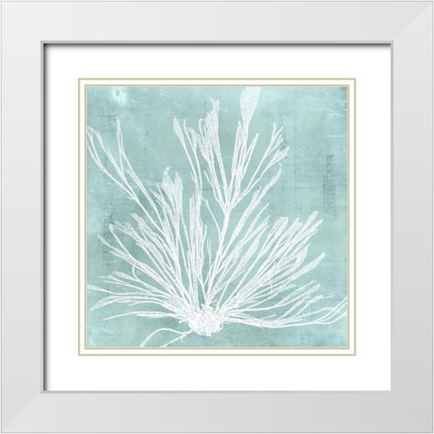 Seaweed on Aqua IX White Modern Wood Framed Art Print with Double Matting by Vision Studio