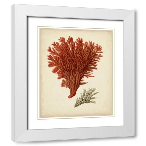 Antique Red Coral V White Modern Wood Framed Art Print with Double Matting by Vision Studio