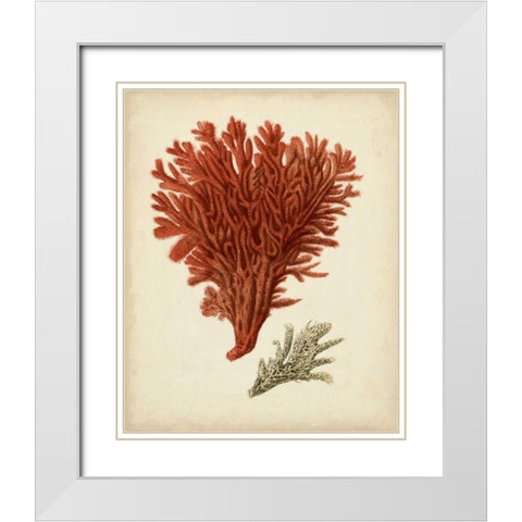 Antique Red Coral V White Modern Wood Framed Art Print with Double Matting by Vision Studio