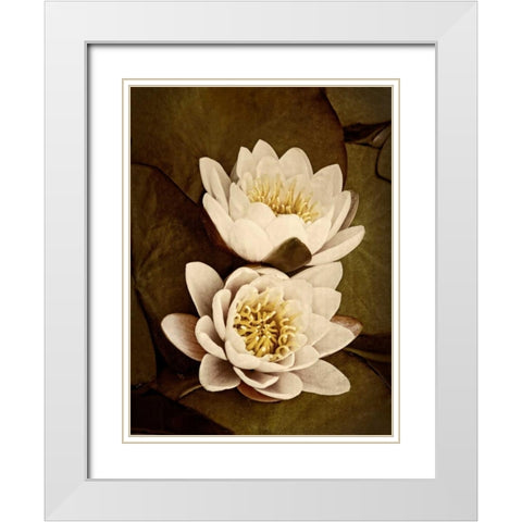 Lily Pad Duo White Modern Wood Framed Art Print with Double Matting by Perry, Rachel