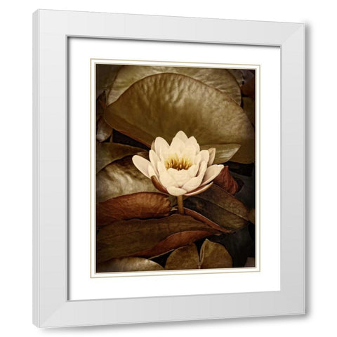 Lily Pad Single White Modern Wood Framed Art Print with Double Matting by Perry, Rachel