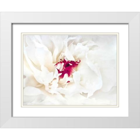White Linen Peony II White Modern Wood Framed Art Print with Double Matting by Perry, Rachel