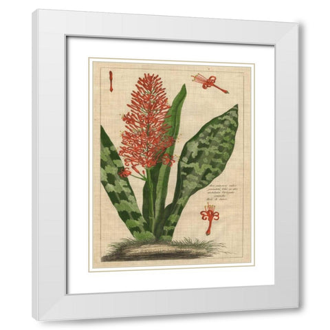 Botanical Study on Linen I White Modern Wood Framed Art Print with Double Matting by Vision Studio