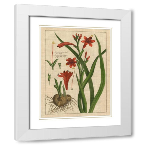 Botanical Study on Linen II White Modern Wood Framed Art Print with Double Matting by Vision Studio