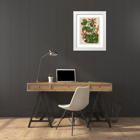 Botanical Study on Linen VI White Modern Wood Framed Art Print with Double Matting by Vision Studio