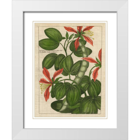 Botanical Study on Linen VI White Modern Wood Framed Art Print with Double Matting by Vision Studio