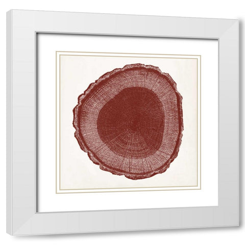 Tree Ring I White Modern Wood Framed Art Print with Double Matting by Vision Studio