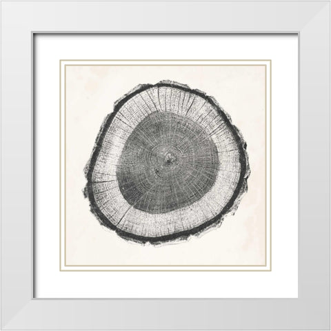 Tree Ring II White Modern Wood Framed Art Print with Double Matting by Vision Studio