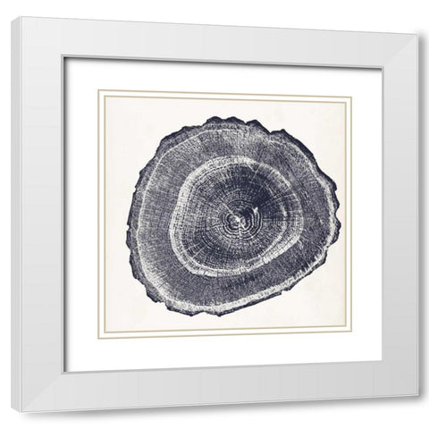 Tree Ring III White Modern Wood Framed Art Print with Double Matting by Vision Studio