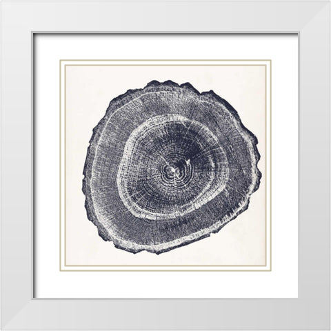 Tree Ring III White Modern Wood Framed Art Print with Double Matting by Vision Studio