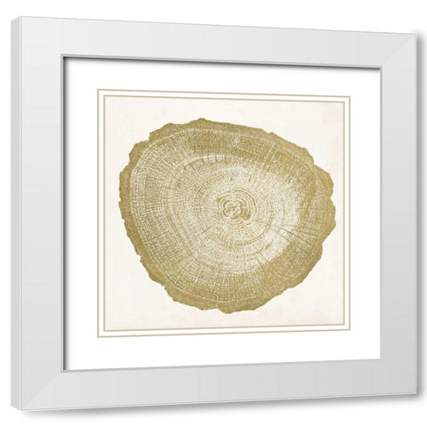 Tree Ring IV White Modern Wood Framed Art Print with Double Matting by Vision Studio