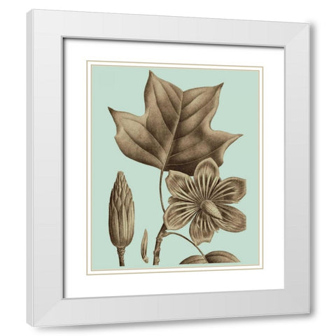 Flowering Trees I White Modern Wood Framed Art Print with Double Matting by Vision Studio