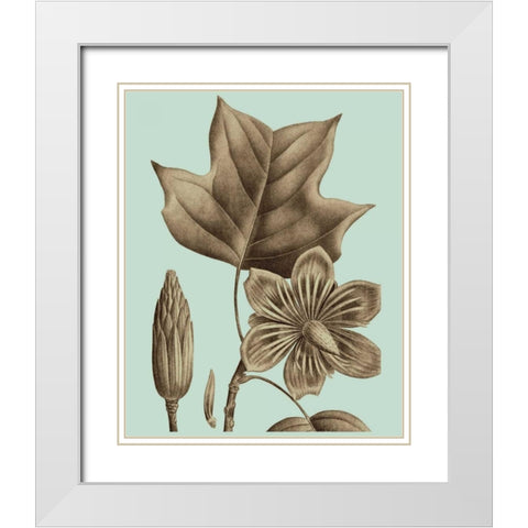 Flowering Trees I White Modern Wood Framed Art Print with Double Matting by Vision Studio