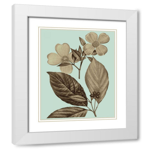 Flowering Trees III White Modern Wood Framed Art Print with Double Matting by Vision Studio