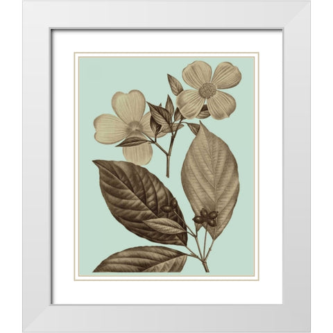 Flowering Trees III White Modern Wood Framed Art Print with Double Matting by Vision Studio