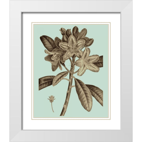 Flowering Trees IV White Modern Wood Framed Art Print with Double Matting by Vision Studio
