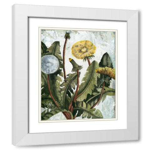 Dandelion Patina I White Modern Wood Framed Art Print with Double Matting by McCavitt, Naomi