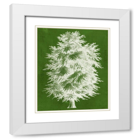 Modern Arbor I White Modern Wood Framed Art Print with Double Matting by Vision Studio