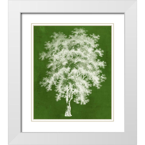 Modern Arbor III White Modern Wood Framed Art Print with Double Matting by Vision Studio