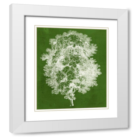 Modern Arbor IV White Modern Wood Framed Art Print with Double Matting by Vision Studio